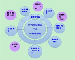 二六三 瞄準未來，鑄就企業(yè)互聯(lián)網通信與信息服務王牌