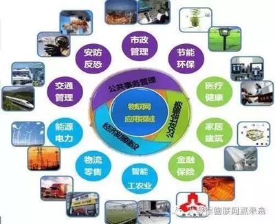 物聯(lián)網(wǎng) 國家戰(zhàn)略驅動下的技術革命與產(chǎn)業(yè)未來